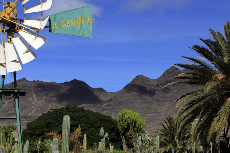2016-11-07_125957 gran-canaria-2016.jpg - El Albercon - Blick vom Restaurante La Ga�an�a in die Berge